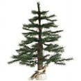 thumbnail image 1 of Vickerman 4' x27" Norwegian Pine Burlap Base 140T Tabletop Tree, 1 of 2