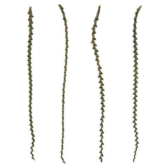 Vickerman 40-48" Basil Ladder Branches - XL, straight, 7 stems, Dried