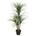 thumbnail image 1 of Vickerman 40" Artificial Potted Green Yucca, 1 of 6
