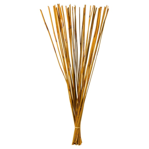 Vickerman 40" Aspen Gold Elephant Reed, 10 oz Bundle, Dried