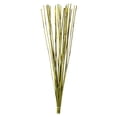 thumbnail image 1 of Vickerman 40" Basil Elephant Reed, 10 oz Bundle, Dried, 1 of 4