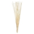 thumbnail image 1 of Vickerman 40" Bleached Elephant Reed, 10 oz Bundle, Dried, 1 of 4