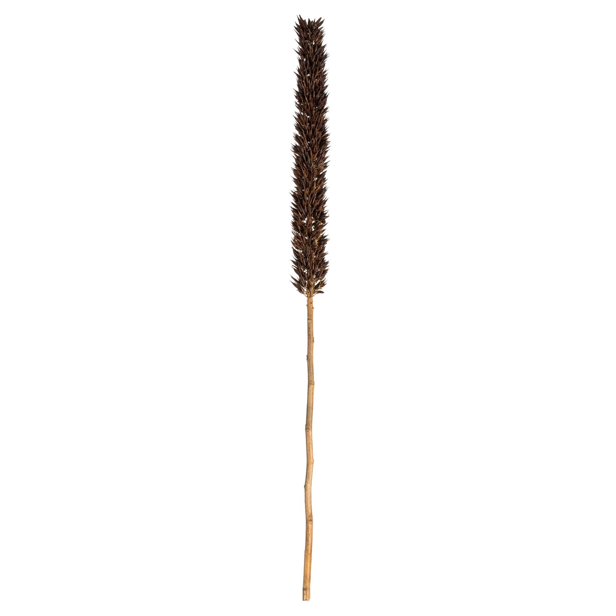 Vickerman 35" Everyday Magenta Real Touch Faux Orchid Stem With 7 Heads