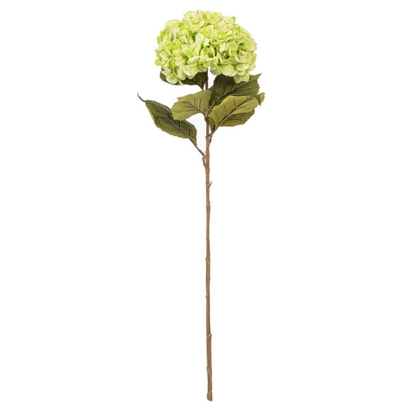 42" x 10" Green Hydrangea Stem