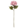 thumbnail image 1 of 42" x 10" Light Pink Hydrangea Stem, 1 of 2