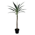 thumbnail image 1 of Vickerman 44" Artificial Green Yucca Tree in Black Planters Pot., 1 of 3