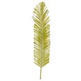 thumbnail image 1 of 44" Basil Round Tip Palm Leaf 6/Bag, 1 of 2