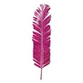 thumbnail image 1 of 44" Raspberry Round Tip Palm Leaf 6/Bag, 1 of 2