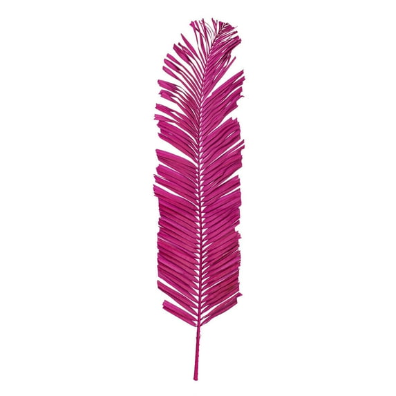 44" Raspberry Round Tip Palm Leaf 6/Bag