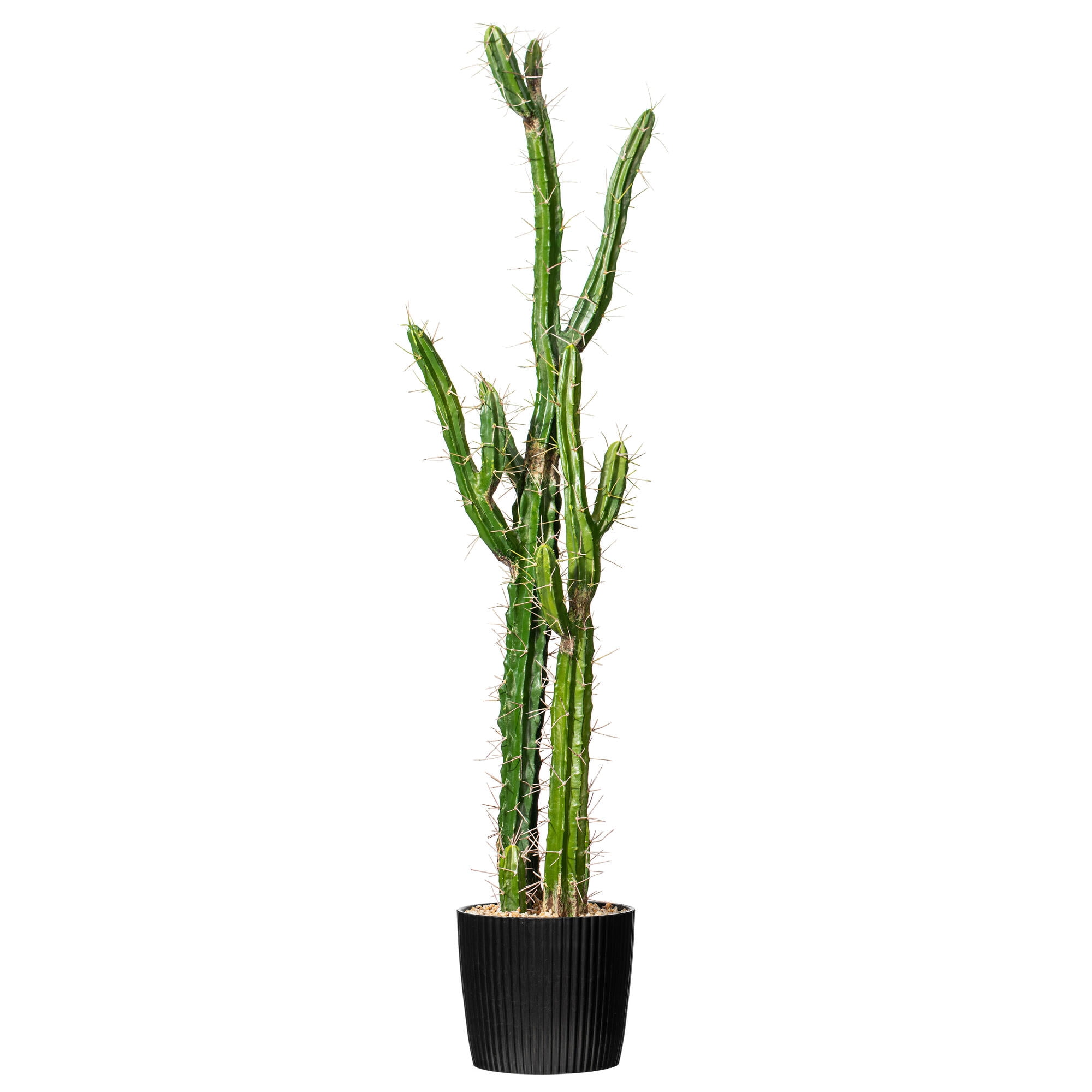 Vickerman 46" Artificial Green Cactus, Black Plastic Planters Pot. -  Walmart.com
