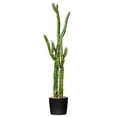 thumbnail image 1 of Vickerman 46" Artificial Green Cactus, Black Plastic Planters Pot., 1 of 5
