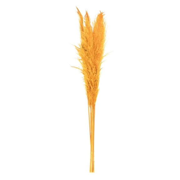 Vickerman 46" Dried Aspen Gold Pampas Grass 6 pack. It includes two stems. Recommended for Indoor.