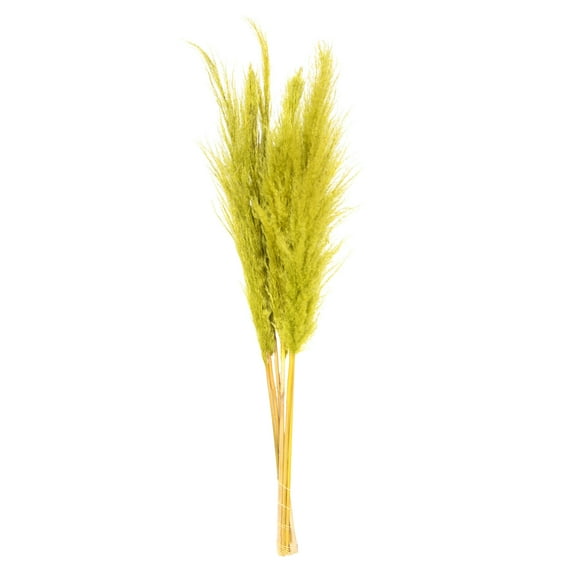 Vickerman 46" Dried Light Basil Green Pampas 6 pack. It includes two stems. Recommended for Indoor.