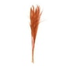 Vickerman 46" Dried  Pampas Grass 6 pack. It includes two stems. Recommended for Indoor.