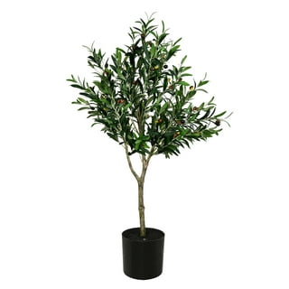 Taos 6' x 2' Artificial Tabletop Olive Tree, Green
