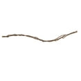 thumbnail image 1 of Vickerman 48" Natural Tranca Vine Braid, 1 braid, Dried, 1 of 1
