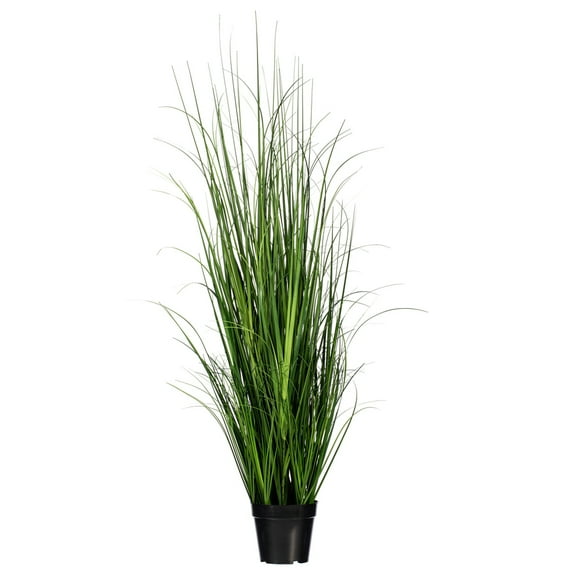 48" Green Lemongrass Potted