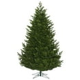 thumbnail image 1 of Vickerman 495094 - 14' x 103" Eagle Frasier Fir Christmas Tree (G170395), 1 of 1