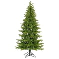 thumbnail image 1 of Vickerman 5.5' x 36" Balsam Spruce Slim Artificial Christmas Tree, Unlit, 1 of 1