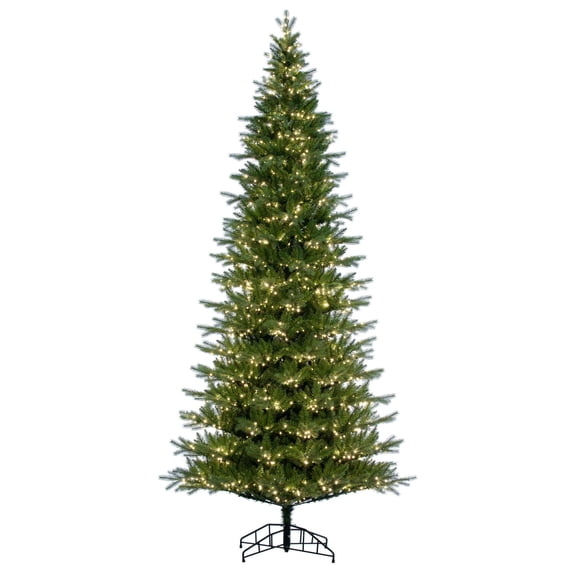 Vickerman 5.5' x 36" Balsam Spruce Slim Tree, 650 Warm White Low Voltage 3MM LED Lights.