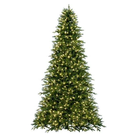 Vickerman 5.5' x 45" Douglas Fir Artificial Pre-Lit Christmas Tree, Warm White LED Mini Lights.