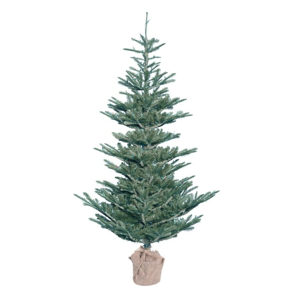 Vickerman 5' Alberta Blue Spruce Artificial Christmas Tree, Unlit