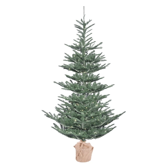 Vickerman 5' Alberta Blue Spruce Artificial Christmas Tree, Warm White Dura-lit LED Lights