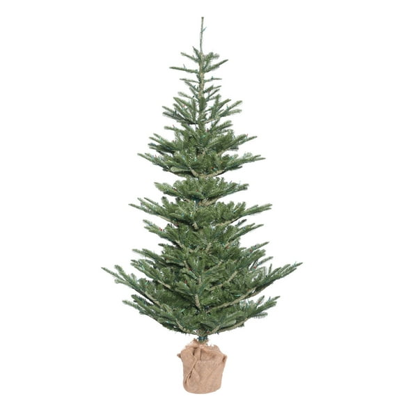 Vickerman 5' Alberta Spruce Artificial Christmas Tree, Unlit