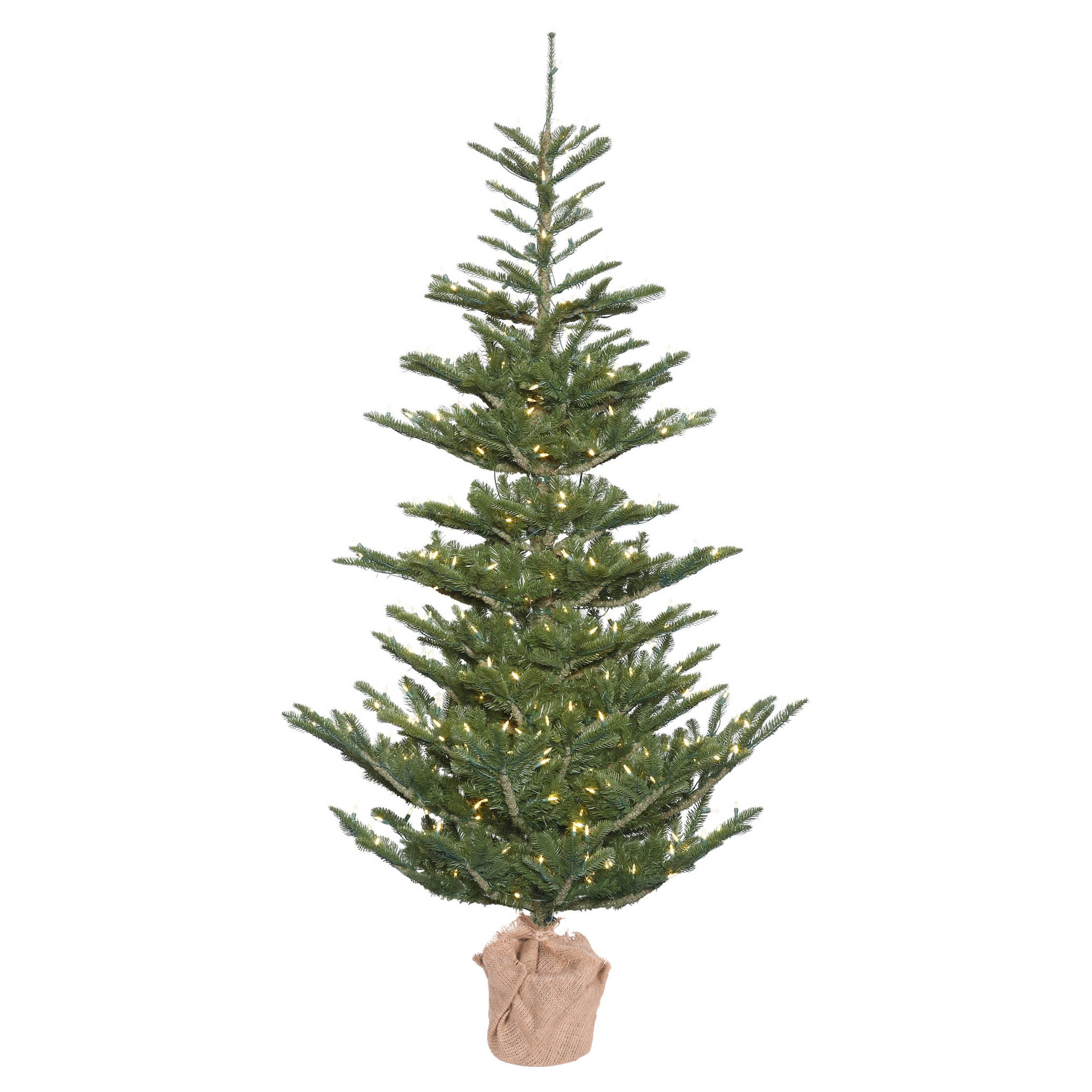 Vickerman 5' Alberta Spruce Artificial Christmas Tree, Warm White Dura ...
