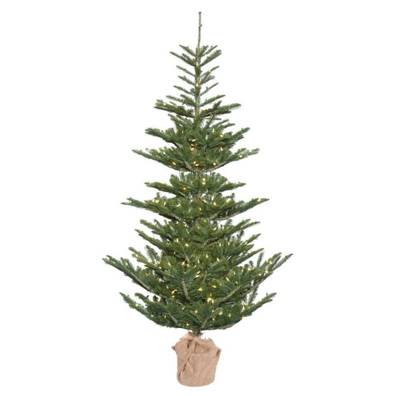 Vickerman 5' Alberta Spruce Artificial Christmas Tree, Warm White Dura-lit LED Lights