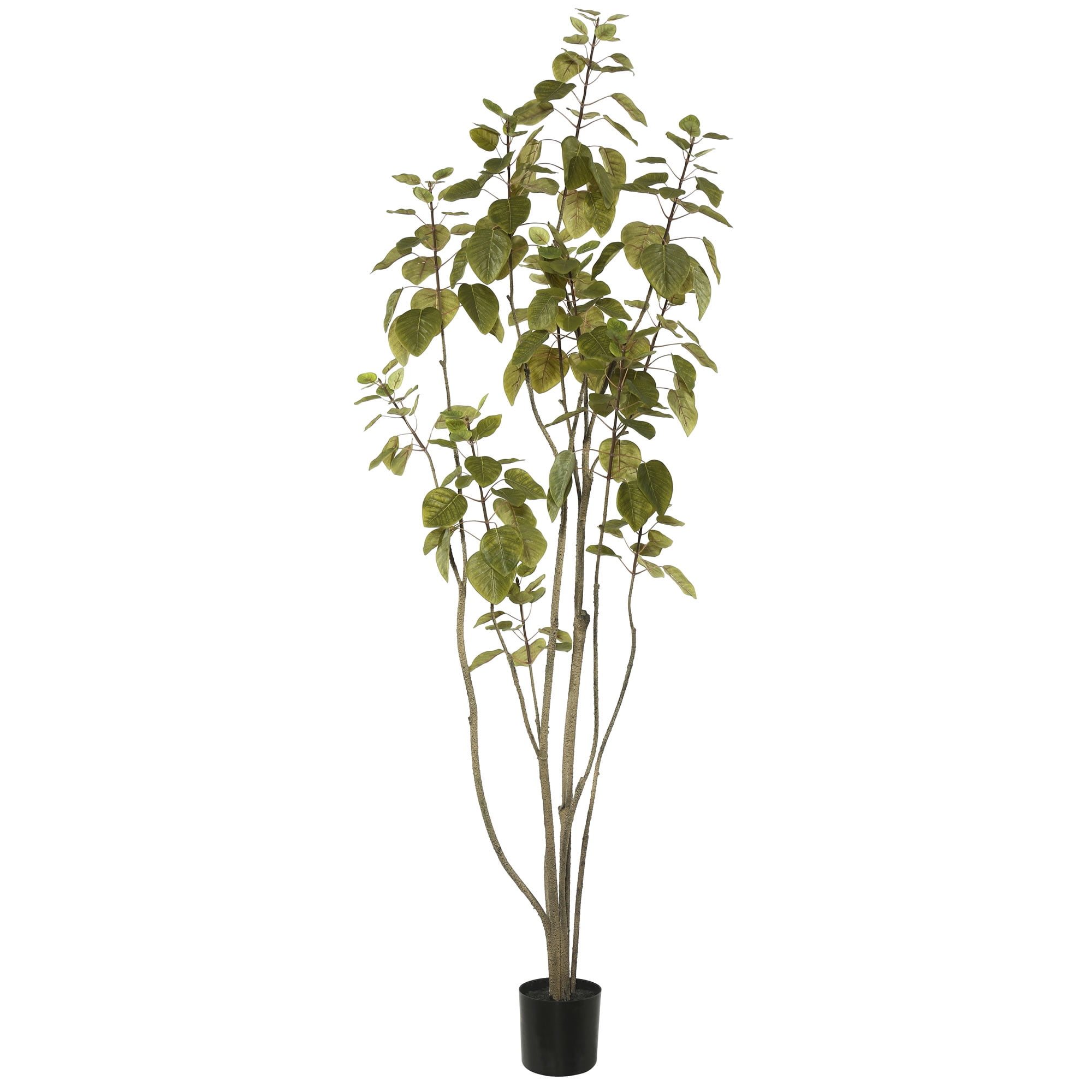 5' Green Plastic Potted Faux Cotinus Coggygria Tree