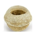 thumbnail image 1 of Vickerman 5" Bleached Sapa Pod, 3 pack, Dried, 1 of 2