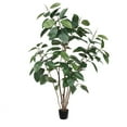 thumbnail image 1 of Vickerman 5' Potted Artificial Green Rubber Tree., 1 of 9