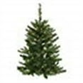 thumbnail image 1 of Vickerman 5' Imperial Pine Artificial Christmas Tree, Warm White Dura-lit LED Lights, 1 of 3