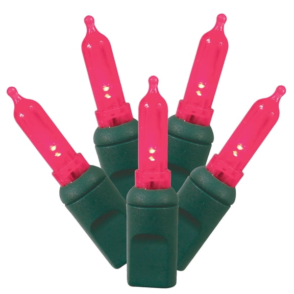 Vickerman 50 Magenta Italian LED Light on Green Wire, 25' Christmas Single Mold Light Strand