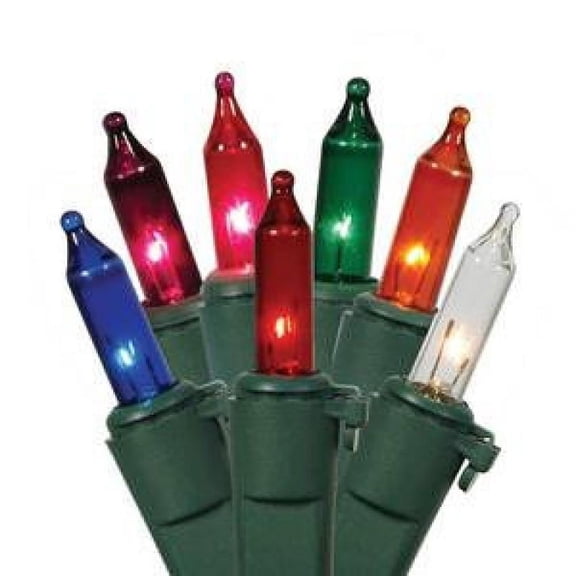 Vickerman 50 Multi-Colored Mini Light on Green Wire, 23' Christmas Light Strand