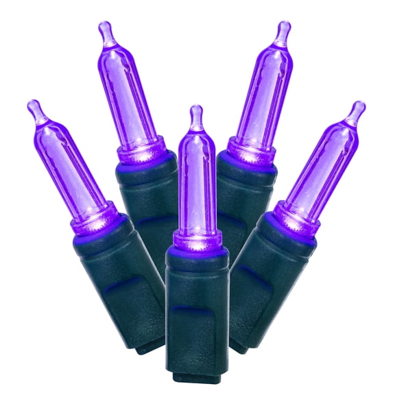 Vickerman 25' Color Box Italian LED Christmas Light Set in Purple