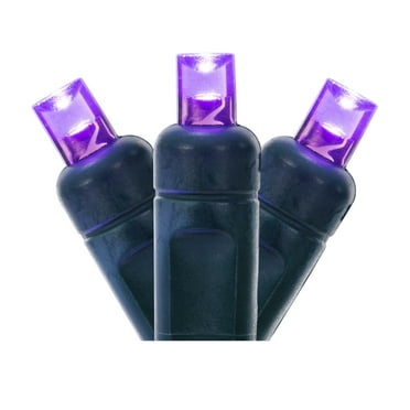 Vickerman 50 Purple Wide Angle LED Light on Green Wire, 25' Christmas Single Mold Light Strand