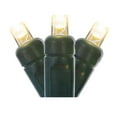 thumbnail image 1 of Vickerman Wide Angle LED Color Box Christmas Twinkle Light Set in Warm White, 1 of 2