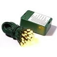 thumbnail image 1 of Vickerman  50Lt Battery Operated Warm White & Green Wire LED Outdoor Timer Set, 1 of 1