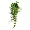 thumbnail image 1 of Vickerman 51" Artificial Green Grape Leaf Ivy Hanging Bush., 1 of 2