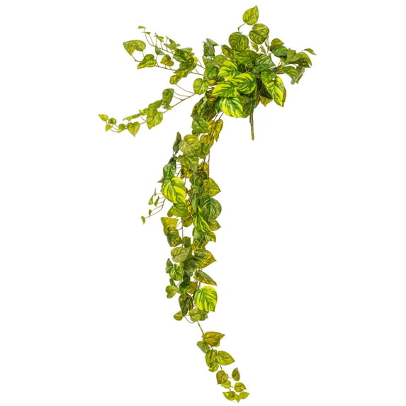 Vickerman 51" Artificial Pothos Hanging Bush.
