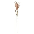 thumbnail image 1 of Vickerman 51" Gold Artificial Reed Spray, 2 per bundle, Plastic, 1 of 1