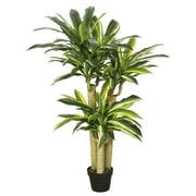 Vickerman 52" Artificial Potted Green and Yellow Real Touch Dracaena Tree.