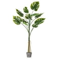 thumbnail image 1 of Vickerman 54" Artificial Potted Grand Split Philodendron Tree., 1 of 7