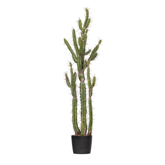 Vickerman 56.5" Artificial Green Cactus, Black Plastic Planters Pot.