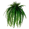 thumbnail image 1 of 56" Green Boston Fern UV, 1 of 2