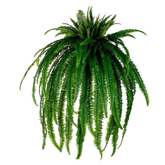 56" Green Boston Fern UV