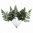 thumbnail image 1 of Vickerman 6-10" Oasis Green Fern - Adianthum - Petite Variety, 6 stems, Preserved, 1 of 4