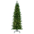 thumbnail image 1 of Vickerman 6.5' x 34" Eagle Fraser Fir Slim Artificial Christmas Tree, Warm White Dura-lit LED Lights, 1 of 5